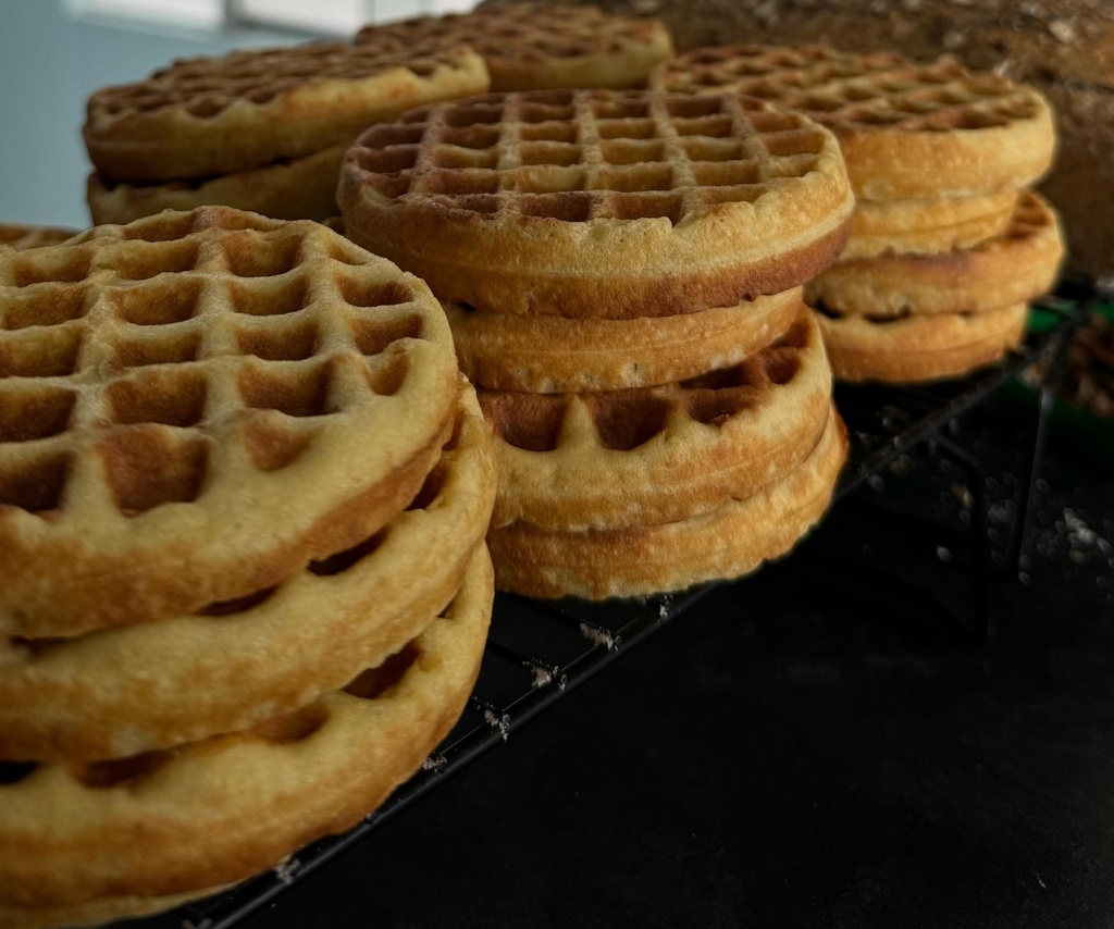 Waffles Gluten Free x 10 unid