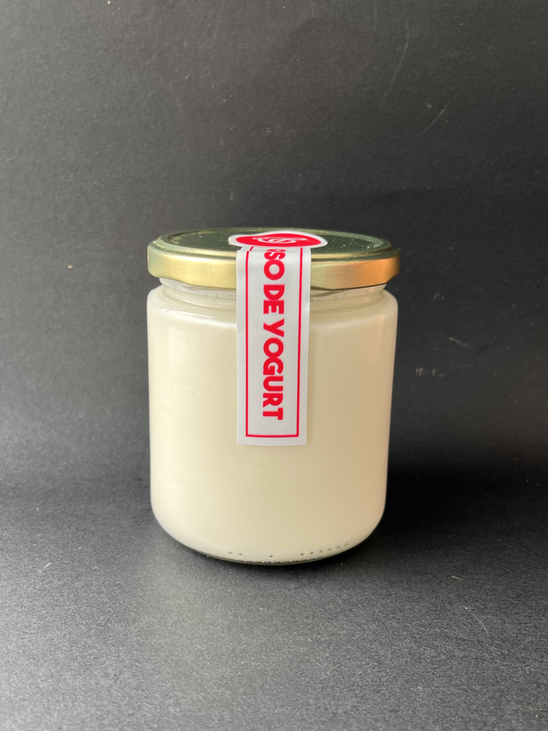 Queso de yogurt x 500 g
